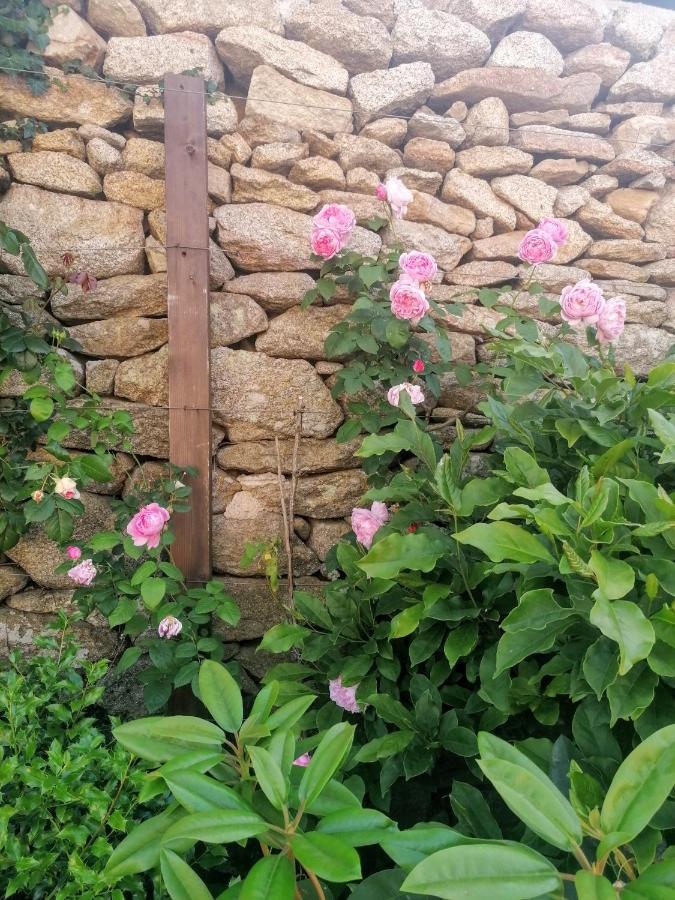 Rosas Da Granja - Casa De Campo Exterior photo
