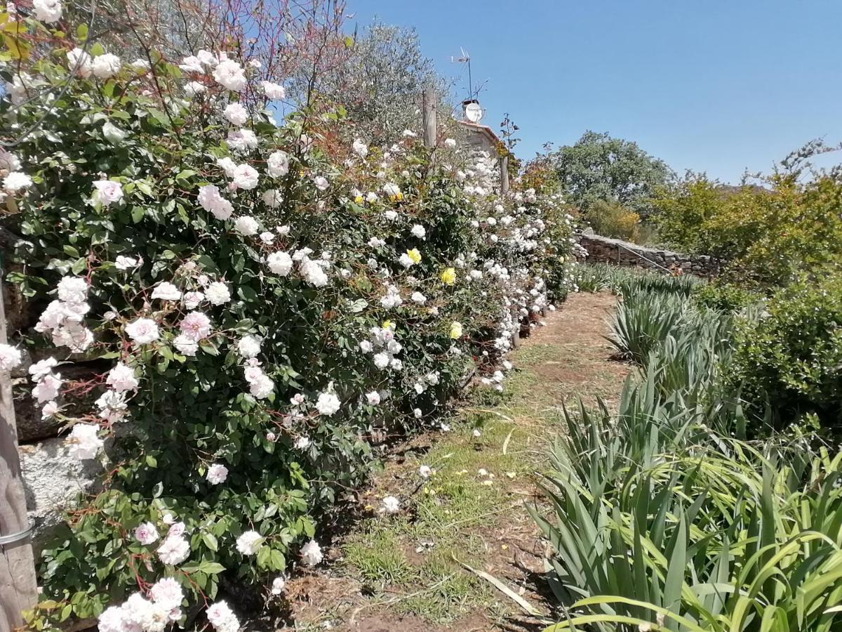 Rosas Da Granja - Casa De Campo Exterior photo